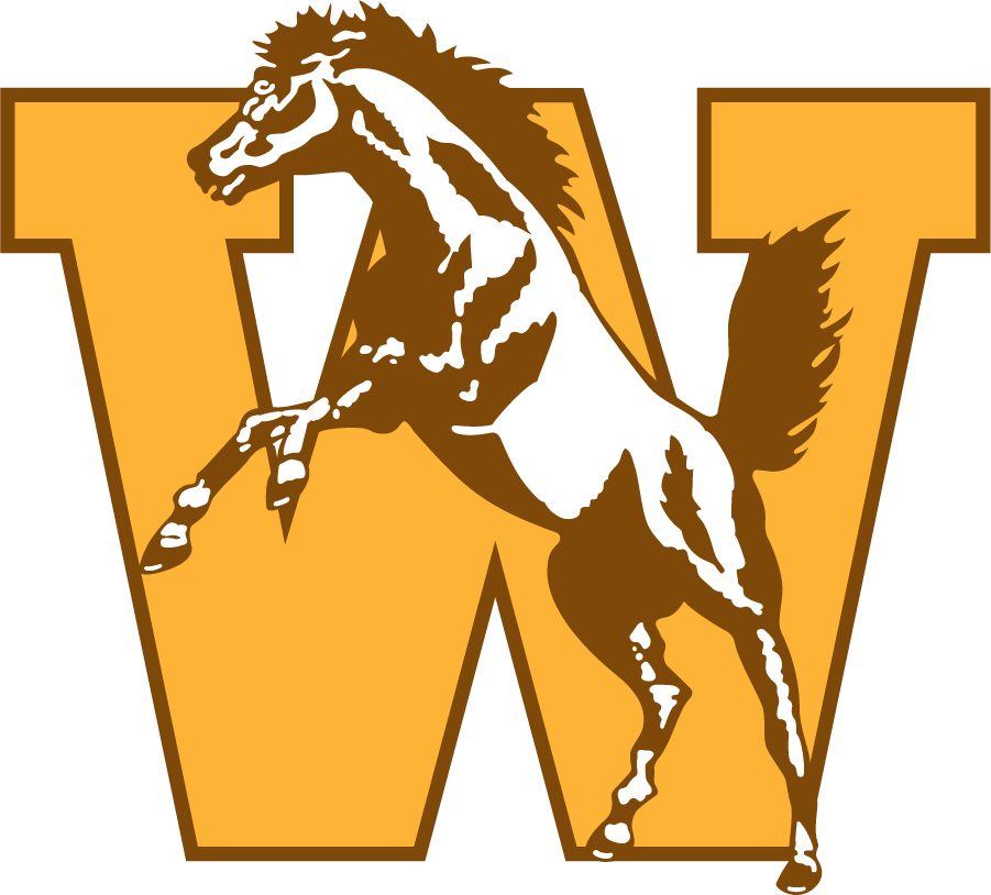 Western Michigan Broncos 1994-1998 Primary Logo diy iron on heat transfer